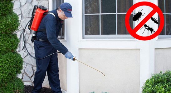 Özkanlar Karınca İlaçlama böcek ilaçlama ve haşere kontrolü — ilaclama-tr.com